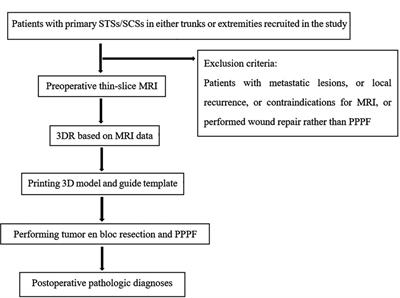 A three-dimensional visualization of the full-field surgical region based on thin-slice MRI: A helpful approach for simultaneously guiding tumor resection and perforator flap elevation